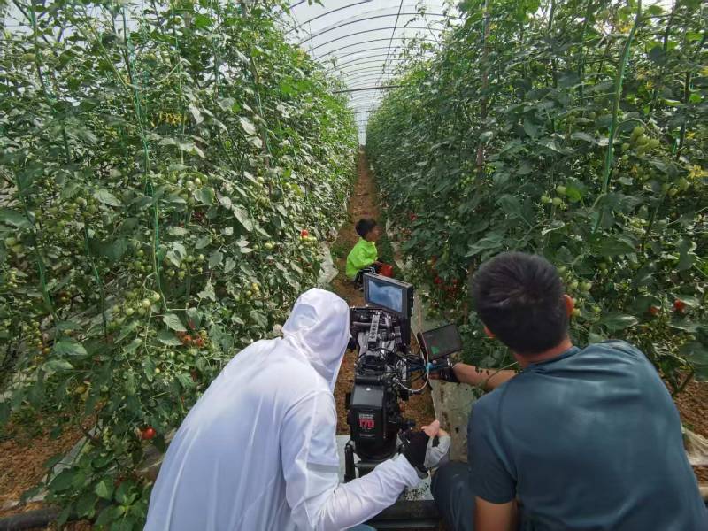 眉县产品宣传视频拍摄公司进阶指南，助力品牌抢占传播高地